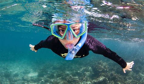 Do You Need to Know How to Swim to Snorkel, or Can You Just Float Like a Buoy?