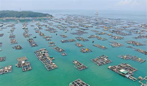 海陵島哪裏有海釣