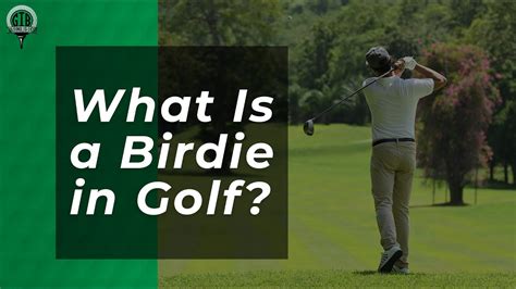 What is a Birdie in Golf? And Why Do Golfers Dream of Owls on the Green?